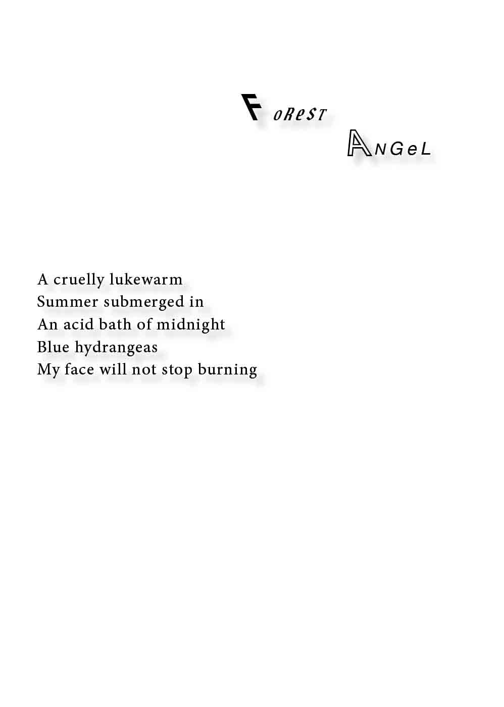 Picture of the poem WEE from the book PLANE OF CONSUMMATE FINITUDE by Steve Barbaro