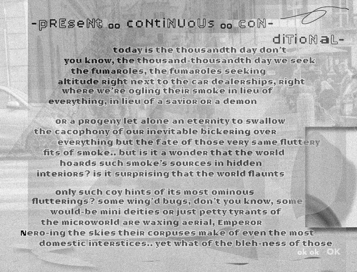 Picture of the poem PRESENT CONTINUOUS CONDITIONAL from the book PLANE OF CONSUMMATE FINITUDE by Steve Barbaro