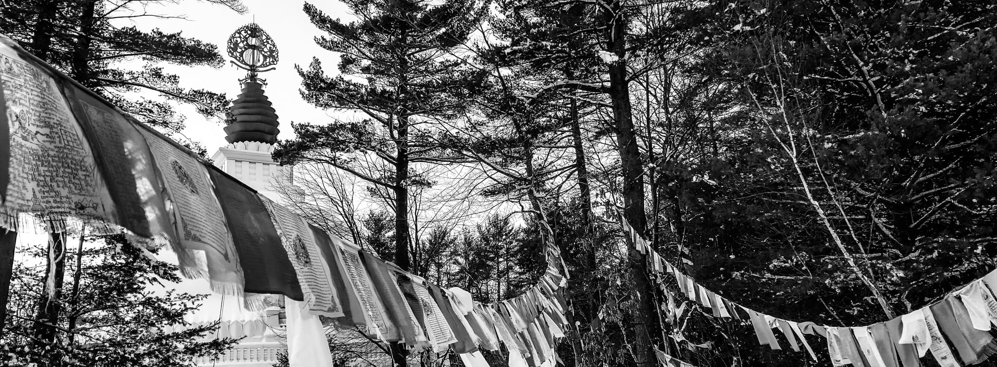 Cary Stough Picture of Cambodian Monastery in Western Massachusetts